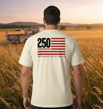 Load image into Gallery viewer, America 250 Years Anniversary Flag