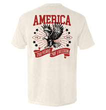 Load image into Gallery viewer, America 250 Years of Freedom